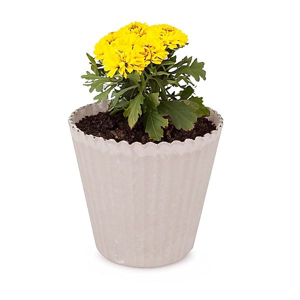 matches21 HOME & HOBBY Blumentopf Blumen-Topf günstig online kaufen