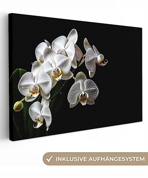 OneMillionCanvasses® Leinwandbild Orchidee - Blumen - Weiß - Natur - Schwar günstig online kaufen