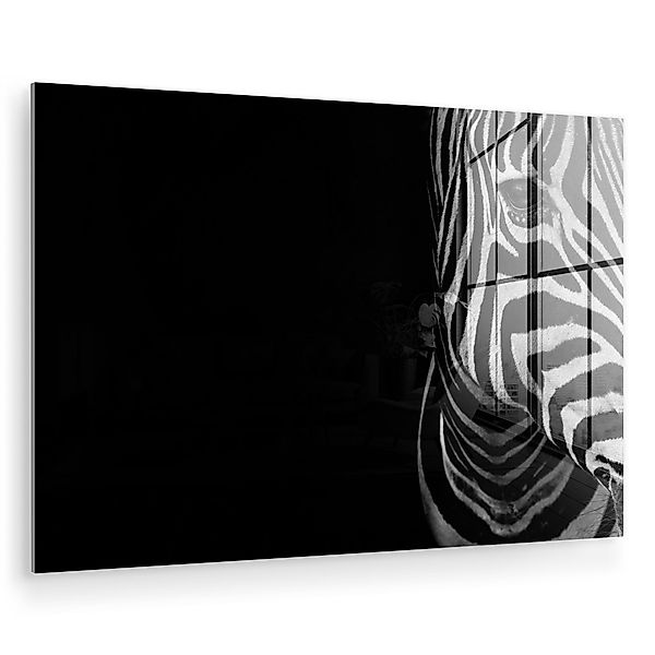 MuchoWow Acrylglasbild Tiere - Zebra - günstig online kaufen