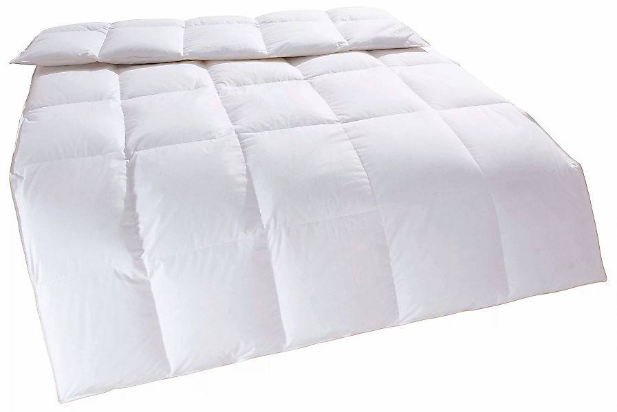Home affaire Daunenbettdecke Litrone, Bettdecke 135x200 günstig online kaufen