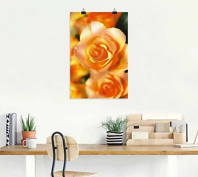 Artland Poster "Strahlende Sommerrosen", Blumen, (1 St.), als Alubild, Lein günstig online kaufen