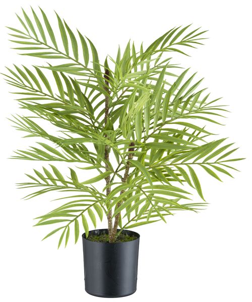 Kunstpalme Arecapalme, Creativ green, Höhe 48 günstig online kaufen