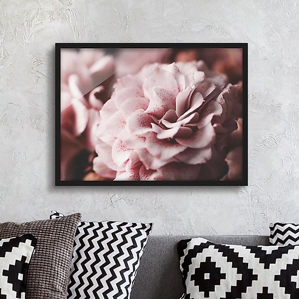 Bild mit Rahmen Blumen - Querformat Shabby Rosa Rose Pastell günstig online kaufen