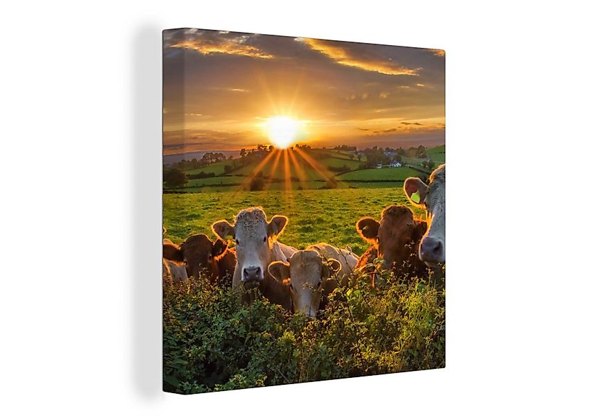 OneMillionCanvasses® Leinwandbild Sonne - Kuh - Gras, Fotodruck (1 St), Wan günstig online kaufen