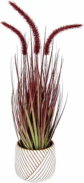I.GE.A. Kunstpflanze »Fuchsschwanzgras« Mit Übertopf Kunstgras Deko Borsten günstig online kaufen