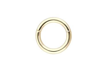 PIERCINGLINE Nasenpiercing 14/18 Karat Gold Segmentring günstig online kaufen
