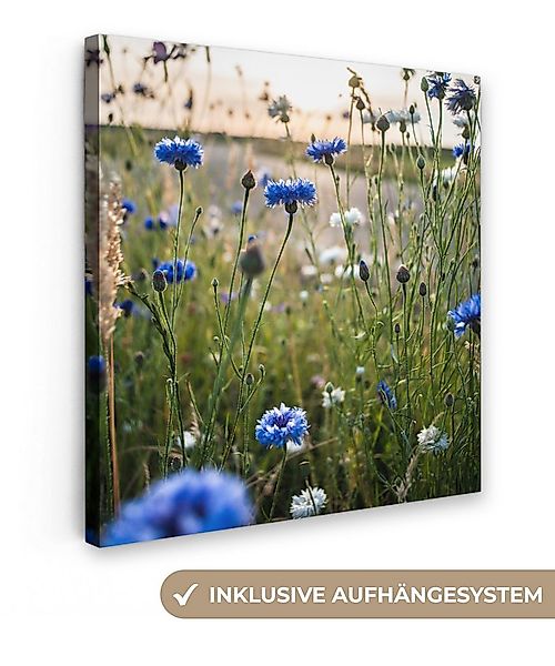 OneMillionCanvasses® Leinwandbild Blumen - Sommer - Kornblume - Blau - Sonn günstig online kaufen