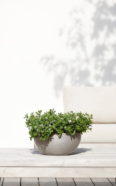 ECOPOTS Blumentopf BRUSSELS Taupe, BxTxH: 30x30x14 günstig online kaufen