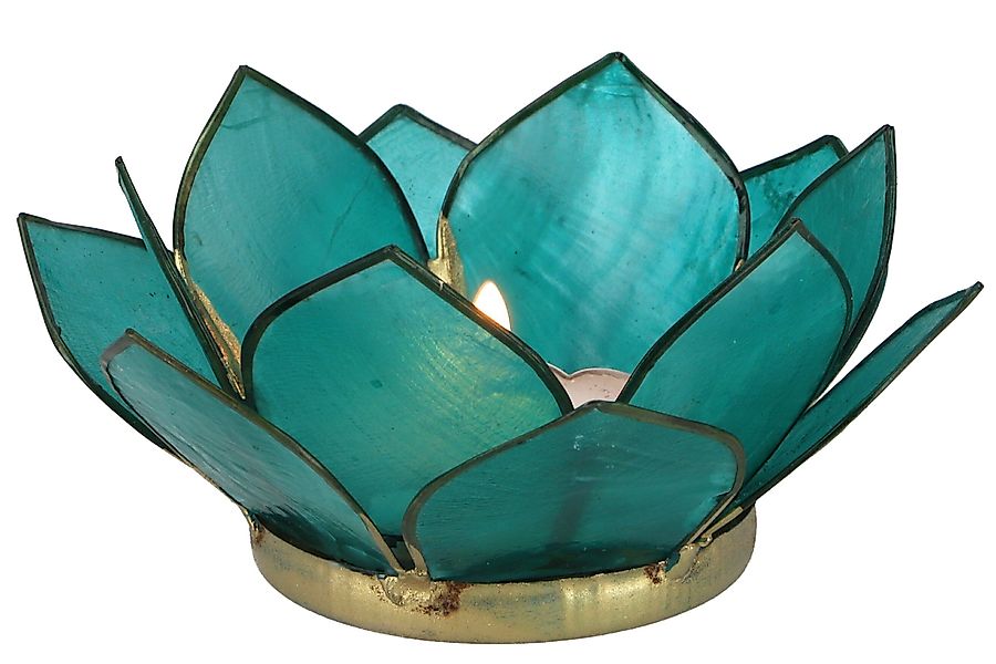 Guru-Shop Windlicht Lotus Teelicht Muschel 11*4 günstig online kaufen