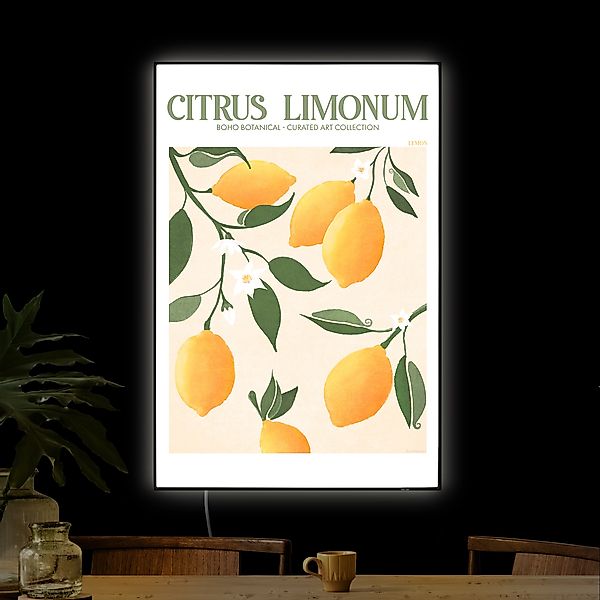 LED-Wechselbild Citrus Limonum günstig online kaufen