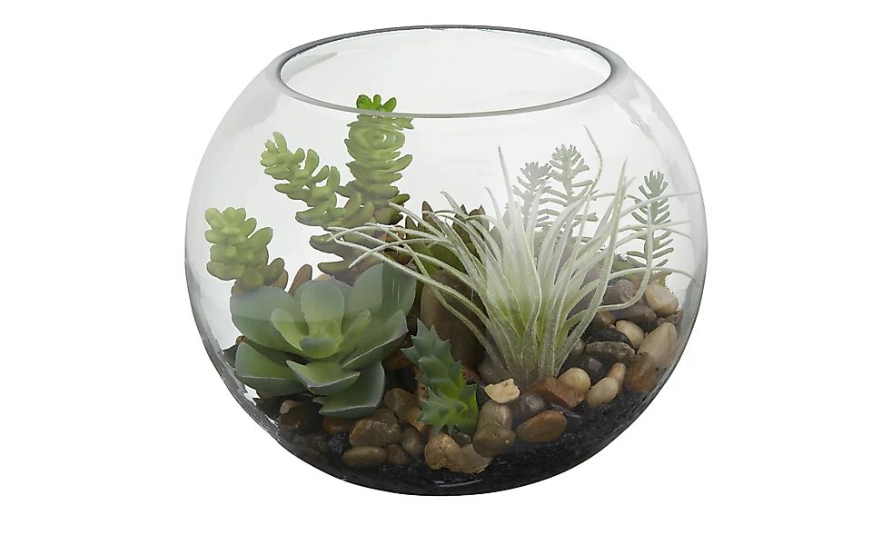Sukkulente im Glas - grün - Glas , Kunststoff, Naturprodukte - 13,5 cm - De günstig online kaufen