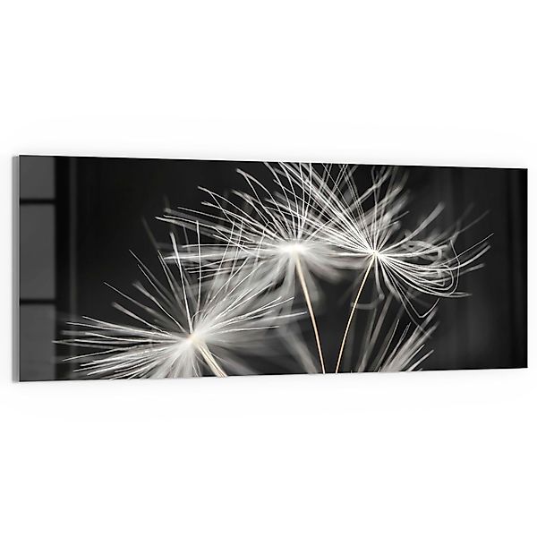 DEQORI Glasbild 'Samen der Pusteblume', 'Samen günstig online kaufen