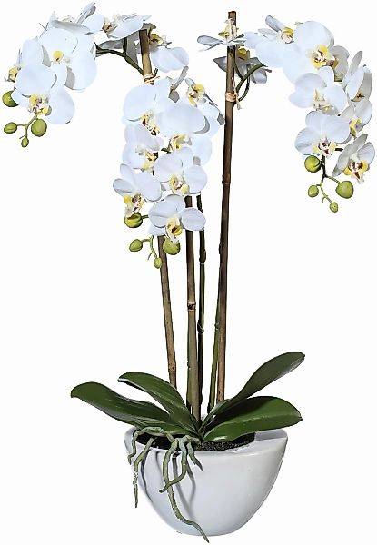 Kunstpflanze Mini Orchidee, Creativ green, Höhe günstig online kaufen