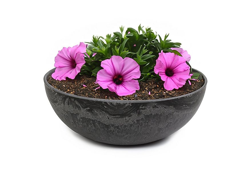 matches21 HOME & HOBBY Blumentopf Runde bauchige 20 cm Pflanzschale für dra günstig online kaufen