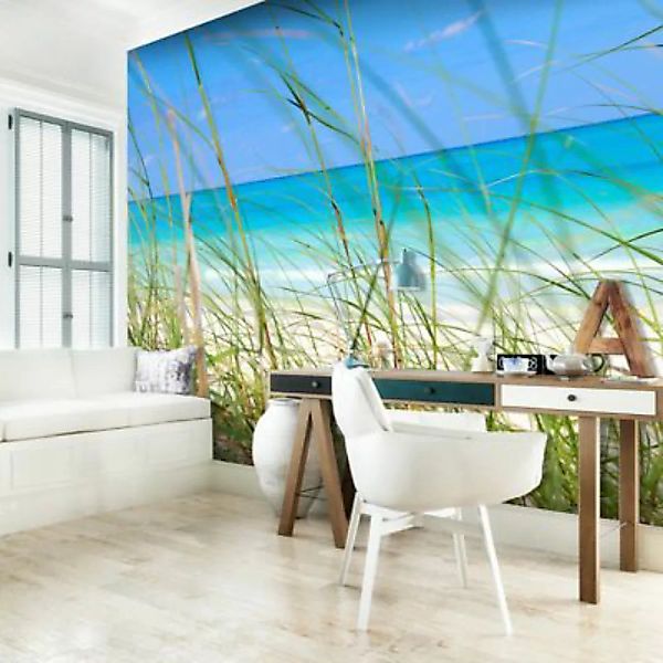 artgeist Fototapete Tropical journey mehrfarbig Gr. 300 x 231 günstig online kaufen