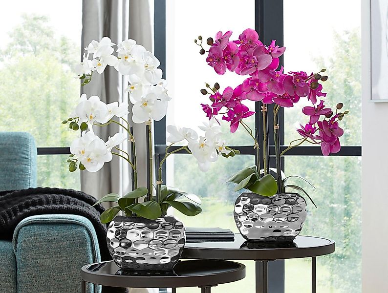 Kunstpflanze Orchidee Orchidee, Creativ green, Höhe 55 cm günstig online kaufen