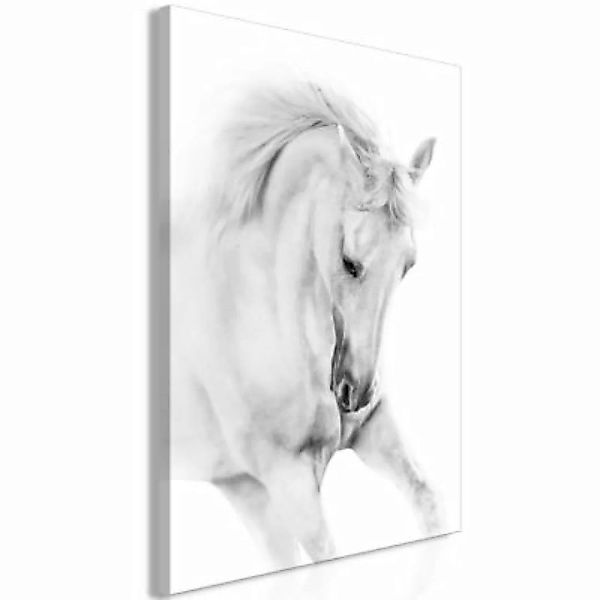 artgeist Wandbild White Horse (1 Part) Vertical schwarz/weiß Gr. 40 x 60 günstig online kaufen