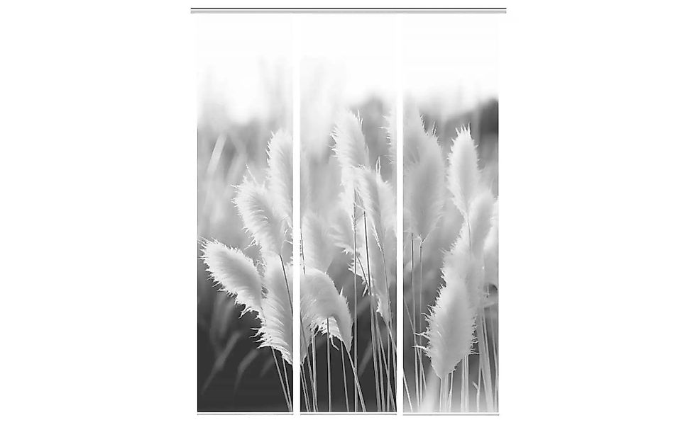 VISION S Schiebevorhang   ¦ grau ¦ Synthetik ¦ Maße (cm): B: 60 H: 260 Gard günstig online kaufen