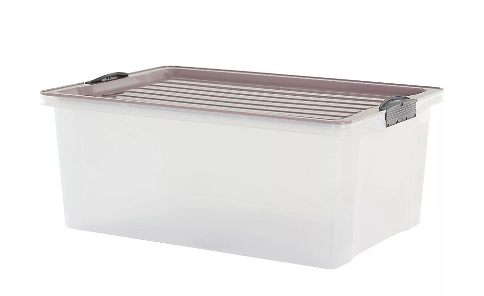 Rotho Aufbewahrungsbox mit Deckel - lila/violett - Kunststoff - 40 cm - 25 günstig online kaufen