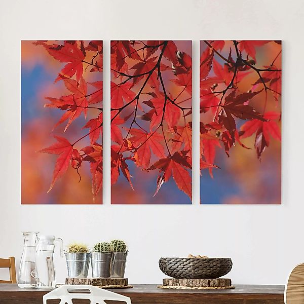 3-teiliges Leinwandbild Wald - Querformat Red Maple günstig online kaufen