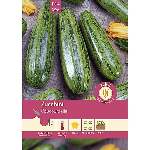 Pabst Keimkraft Zucchini Wüchsig & Rankenlos Coucourzelle Saatgut günstig online kaufen