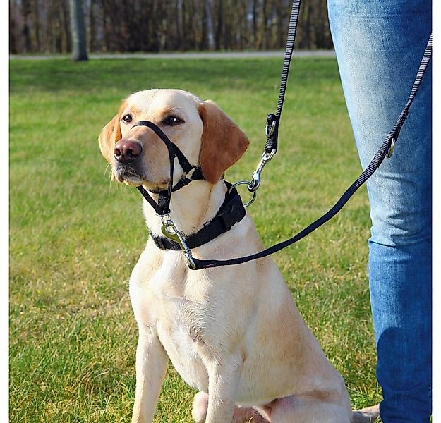 TRIXIE Hunde-Erziehungsgeschirr Top Trainer Ausbildungsgeschirr günstig online kaufen