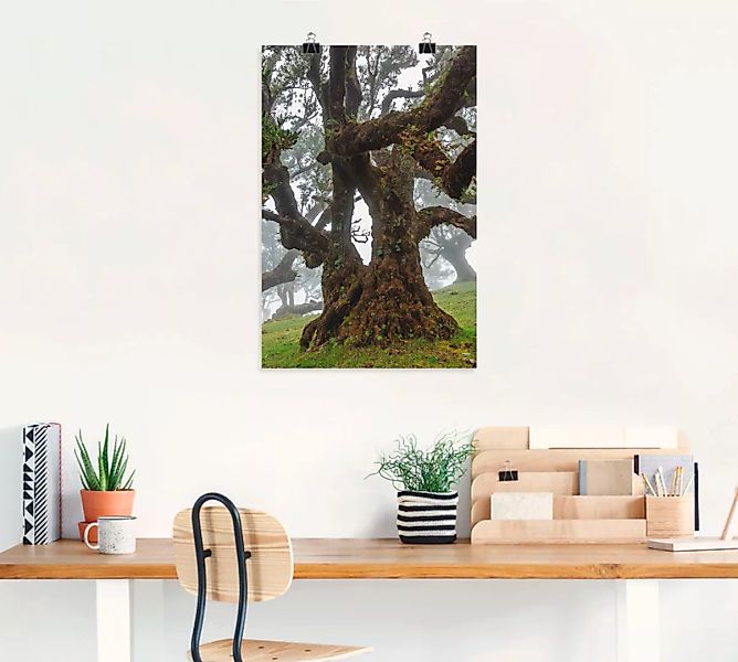 Artland Wandbild »Alter Lorbeerbaum«, Bäume, (1 St.), als Leinwandbild, Pos günstig online kaufen