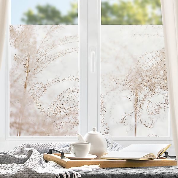 Fensterfolie Sonnenstrahlen im Pampasgras günstig online kaufen