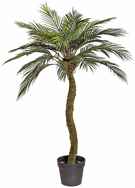 Kunstpalme Sagopalme Palme, Creativ green, Höhe günstig online kaufen