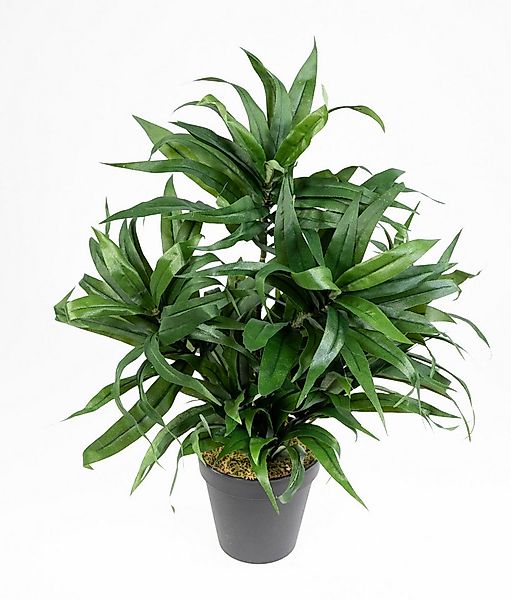 Kunstpflanze Dracena 42cm im Topf DA künstliche Pflanzen Palmen, Seidenblum günstig online kaufen