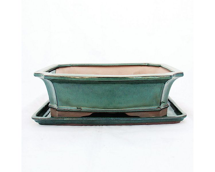 Exotenherz Pflanzschale Bonsai-Schale mit Unterteller Gr. 5 - Grün eckig - günstig online kaufen