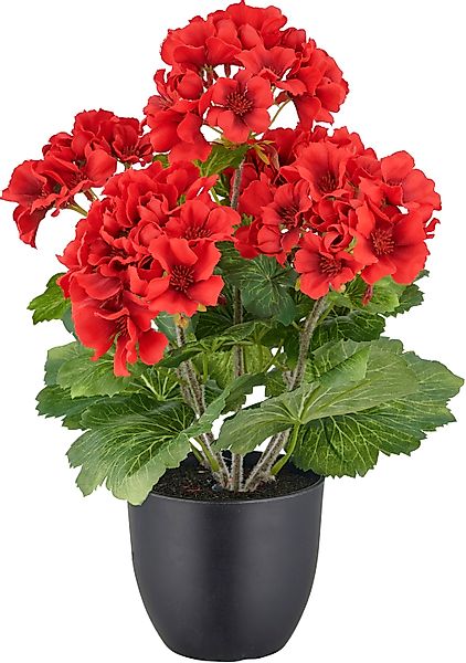 Kunstpflanze Geranie, Creativ green, Höhe 36 cm, in UV-beständiger Ausführu günstig online kaufen