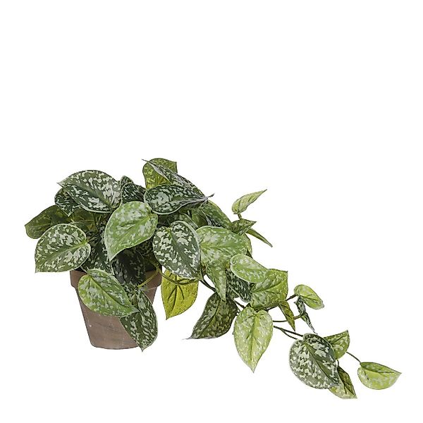 Kunstpflanze Mica künstlicher Scindapsus grün im günstig online kaufen