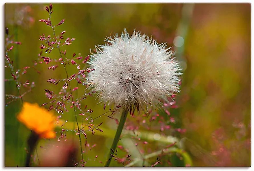 Artland Wandbild "Pusteblume im Blumenfeld", Blumen, (1 St.), als Leinwandb günstig online kaufen