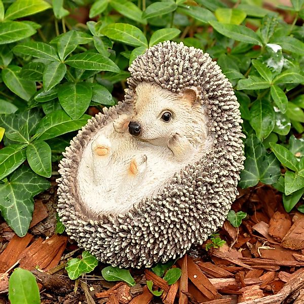 dazikemo Gartenfigur Dekofigur Gartenfigur Igel 12 günstig online kaufen