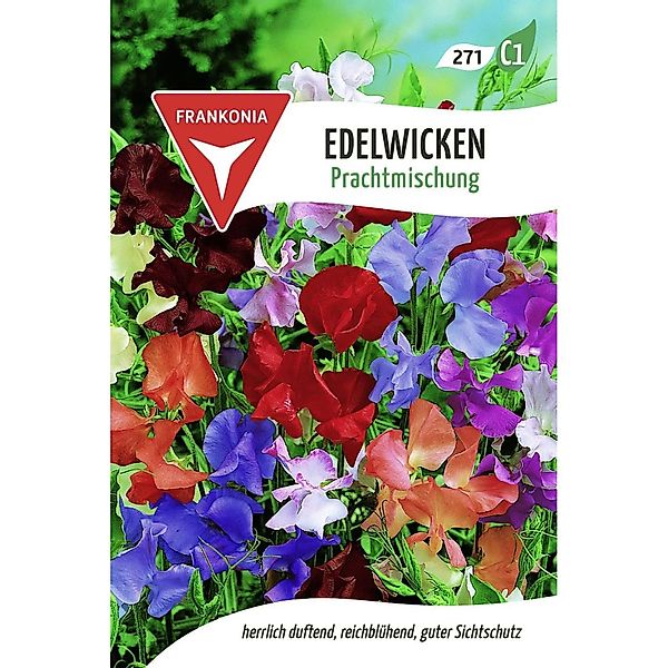 FRANKONIA Edelwicke Prachtmischung günstig online kaufen
