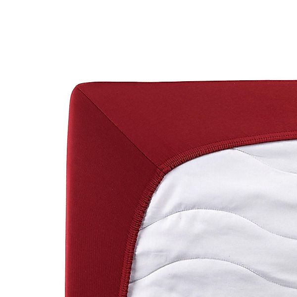 TRAUMSCHLAF Spannbettlaken Single Jersey, Jersey, Gummizug: Rundumgummi, (1 günstig online kaufen