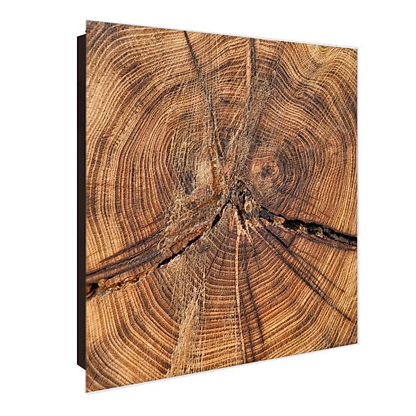 banjado Schlüsselkasten aus Glas mit Motiv Jahresringe (Stahl Gehäuse, mit günstig online kaufen