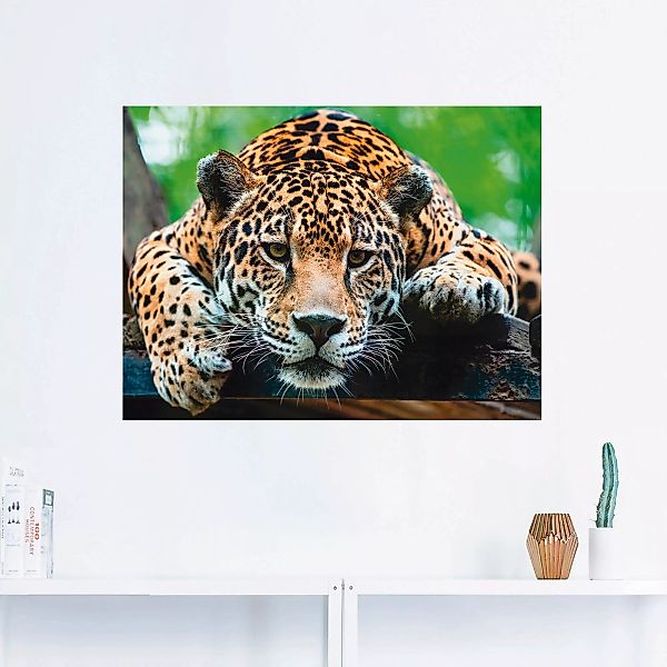 Artland Wandbild "Südamerikanischer Jaguar", Wildtiere, (1 St.), als Alubil günstig online kaufen