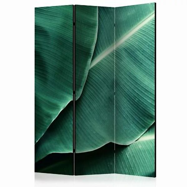 artgeist Paravent Banana Leaf [Room Dividers] grün Gr. 135 x 172 günstig online kaufen