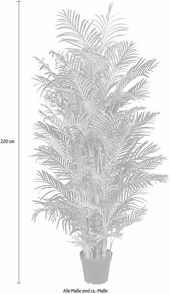 Kunstpalme Arecapalme Palme, Creativ green, Höhe günstig online kaufen