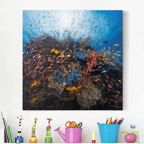 Leinwandbild Tiere - Quadrat Lagune mit Fischen günstig online kaufen