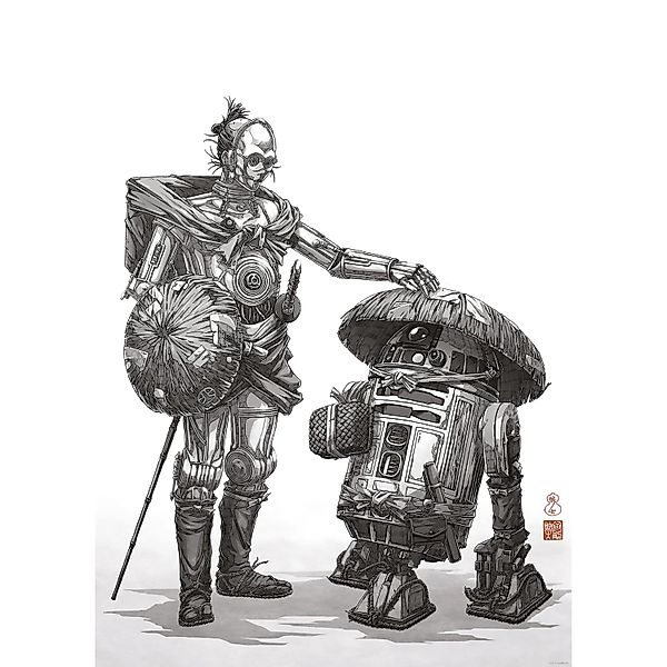 Komar Wandbild Star Wars Vision Samurai Droids 50 cm x 70 cm Schwarz-Weiß günstig online kaufen