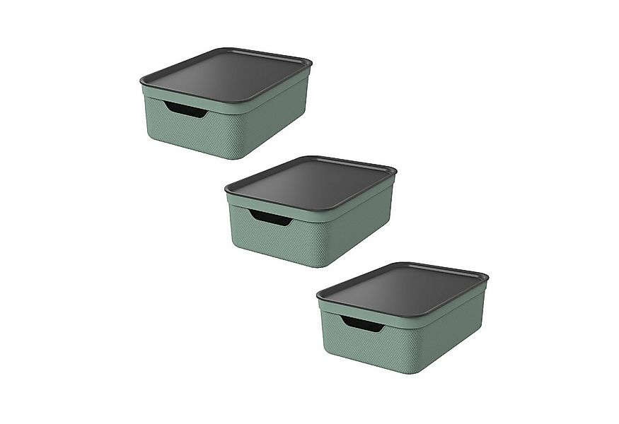 ROTHO Aufbewahrungsbox 3er Set Aufbewahrungsbox mit Deckel 10L JIVE günstig online kaufen