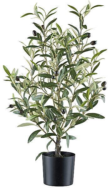 Creativ green Kunstpflanze "Olive", mit detailgetreuer Gestaltung günstig online kaufen