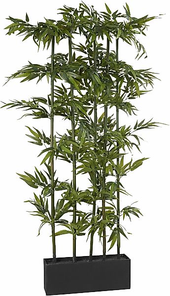 Kunstpflanze Bambus, Creativ green, Höhe 165 cm günstig online kaufen