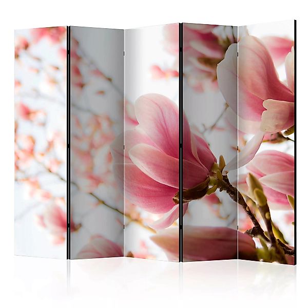 5-teiliges Paravent - Pink Magnolia Ii [room Dividers] günstig online kaufen