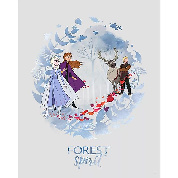 Komar Wandbild Frozen Spirit Disney B/L: ca. 40x50 cm günstig online kaufen