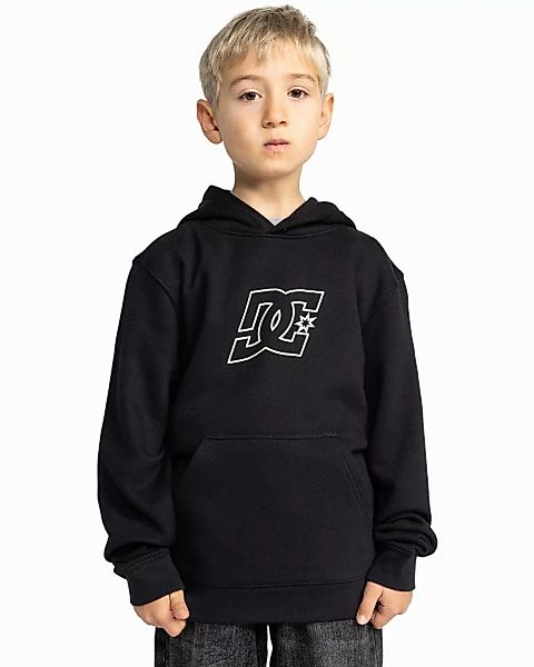 DC Shoes Hoodie Pallet Ph günstig online kaufen