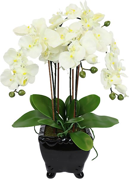 Kunstblume Künstliche Orchidee in Schale Phalaenopsis günstig online kaufen